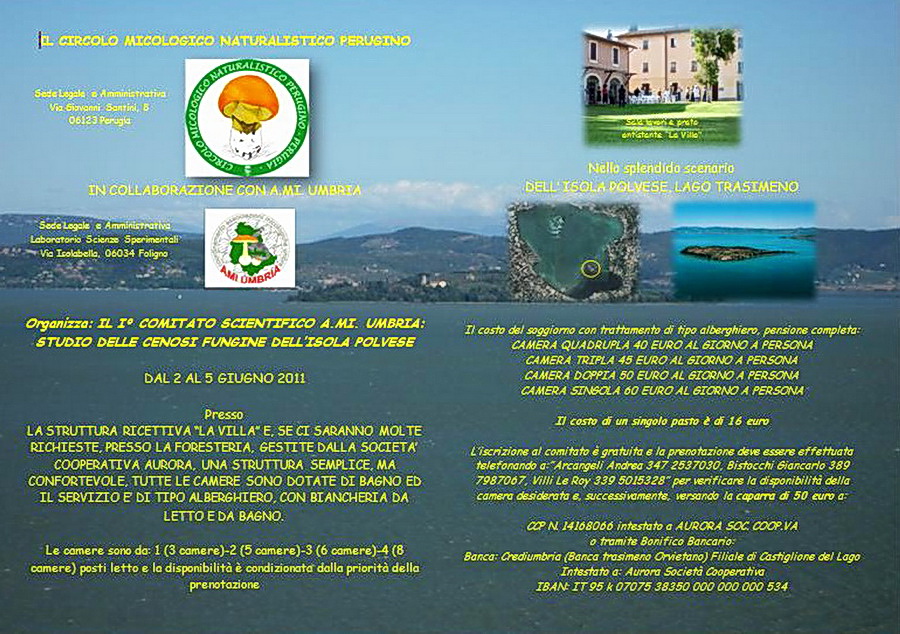 I Comitato scientifico A.MI.UMBRIA